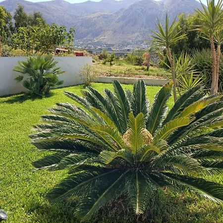 Villa Flo-3